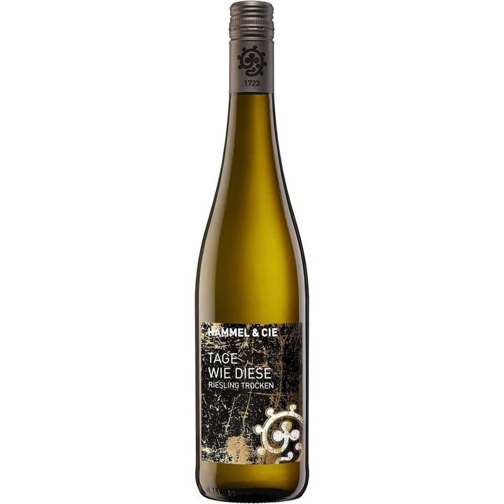 Weingut Hammel "Tage wie diese" Riesling trocken Qualitätswein vegan Weißwein Pfalz Deutschland (3 x 0,75l) - Versanel -
