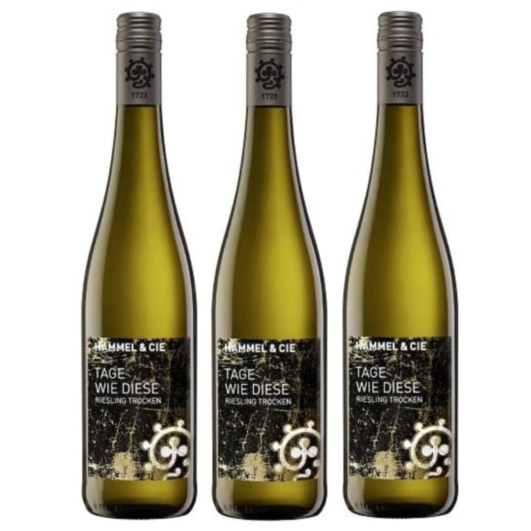 Weingut Hammel "Tage wie diese" Riesling trocken Qualitätswein vegan Weißwein Pfalz Deutschland (3 x 0,75l) - Versanel -