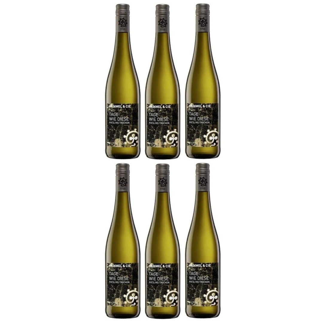 Weingut Hammel "Tage wie diese" Riesling trocken Qualitätswein vegan Weißwein Pfalz Deutschland (6 x 0,75l) - Versanel -