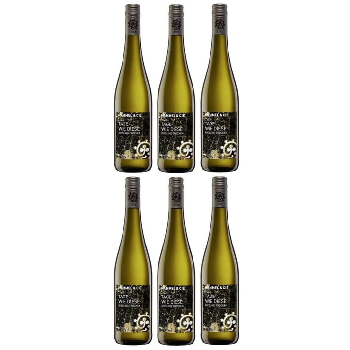 Weingut Hammel "Tage wie diese" Riesling trocken Qualitätswein vegan Weißwein Pfalz Deutschland (6 x 0,75l) - Versanel -
