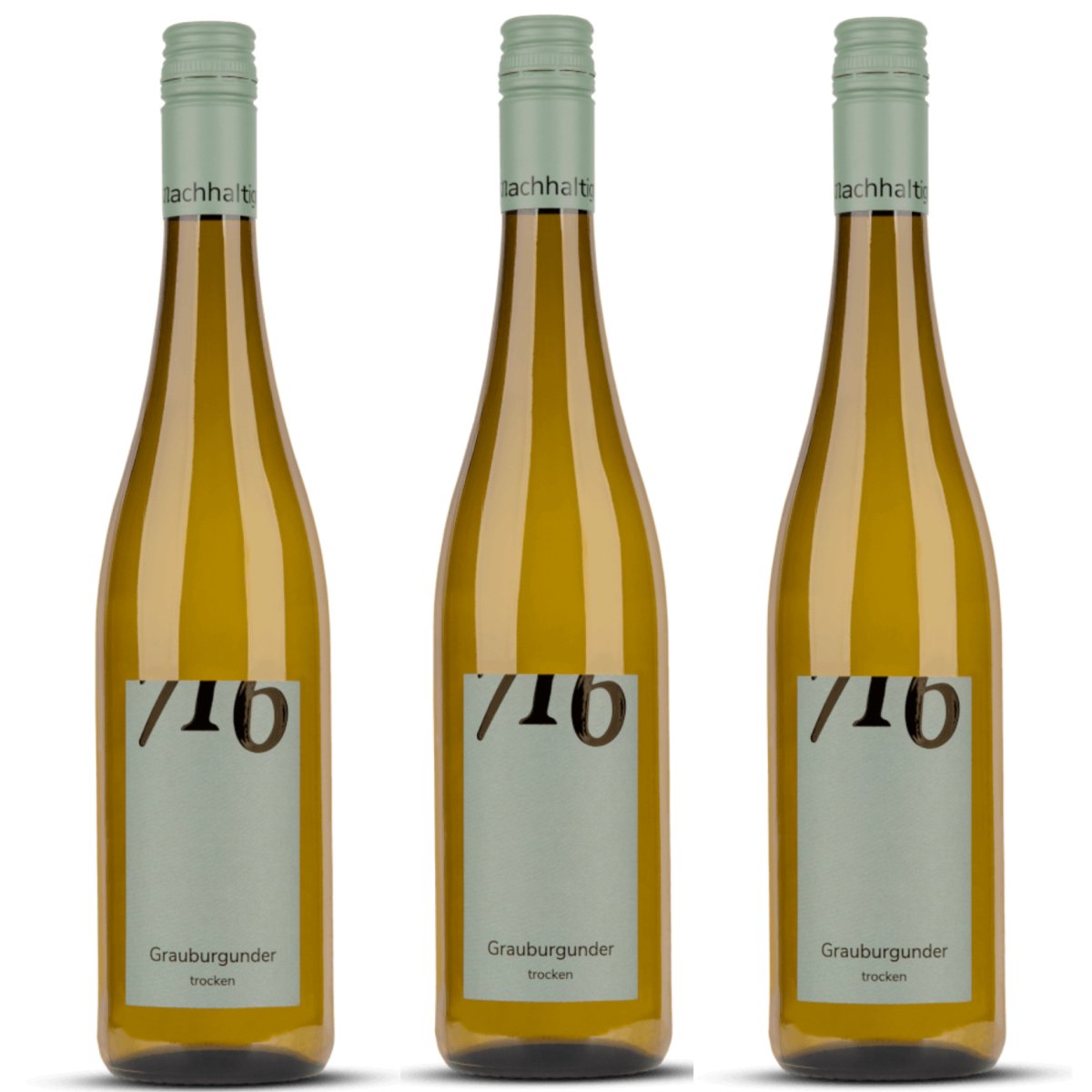 Winzerhof Ebringen Grauburgunder trocken 716 Weißwein Wein Deutschland (3 x 0,75 l) - Versanel -