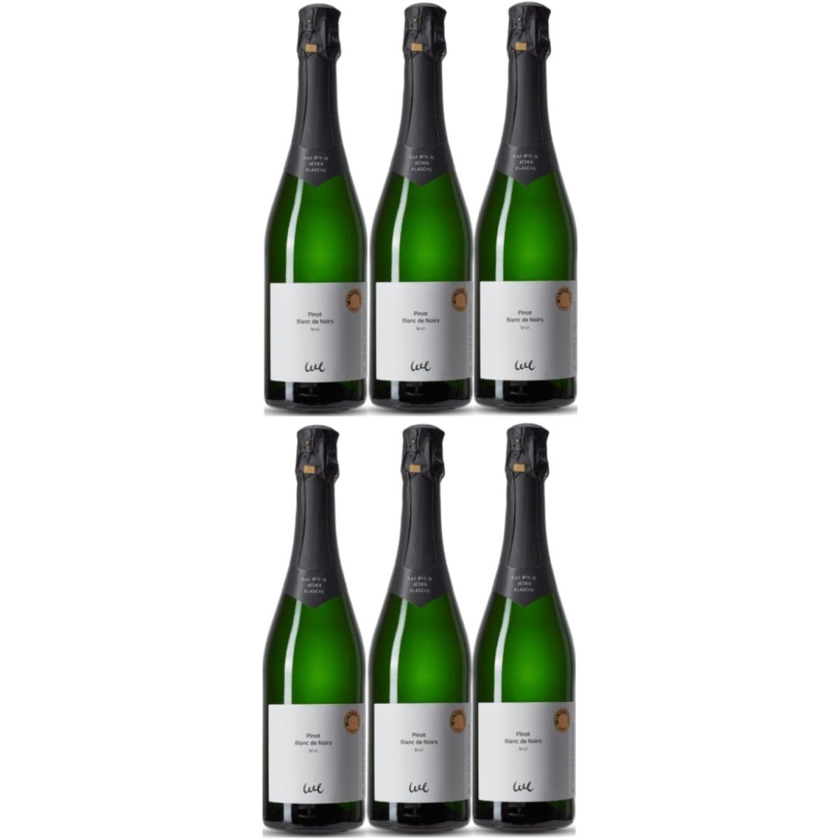 Winzerhof Ebringen Pinot Blanc Sekt b.A. extra trocken Weißwein Wein Deutschland (6 x 0,75 l) - Versanel -