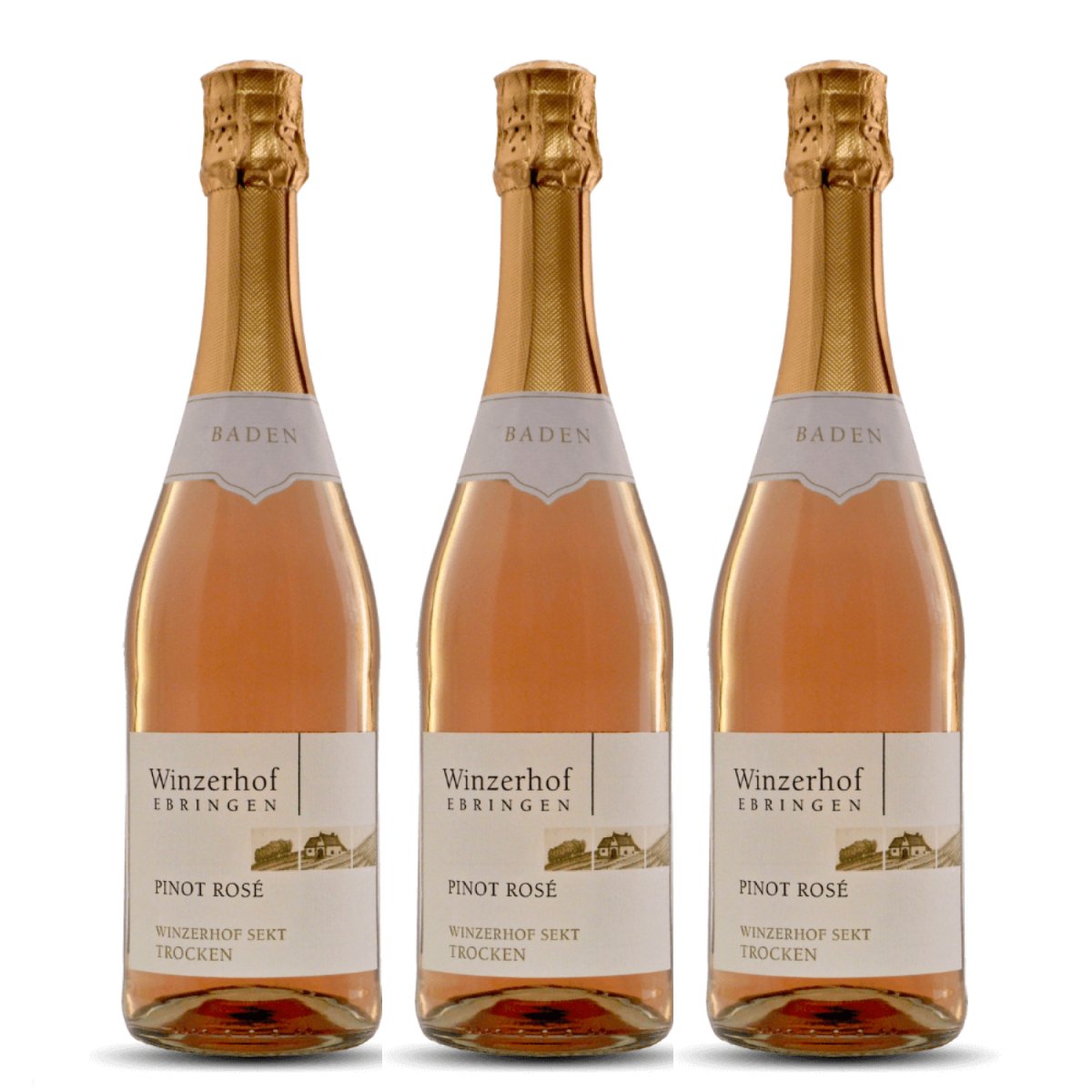 Winzerhof Ebringen Pinot Rosé Sekt b.A. trocken Roséwein Wein Deutschland (3 x 0,75 l) - Versanel -