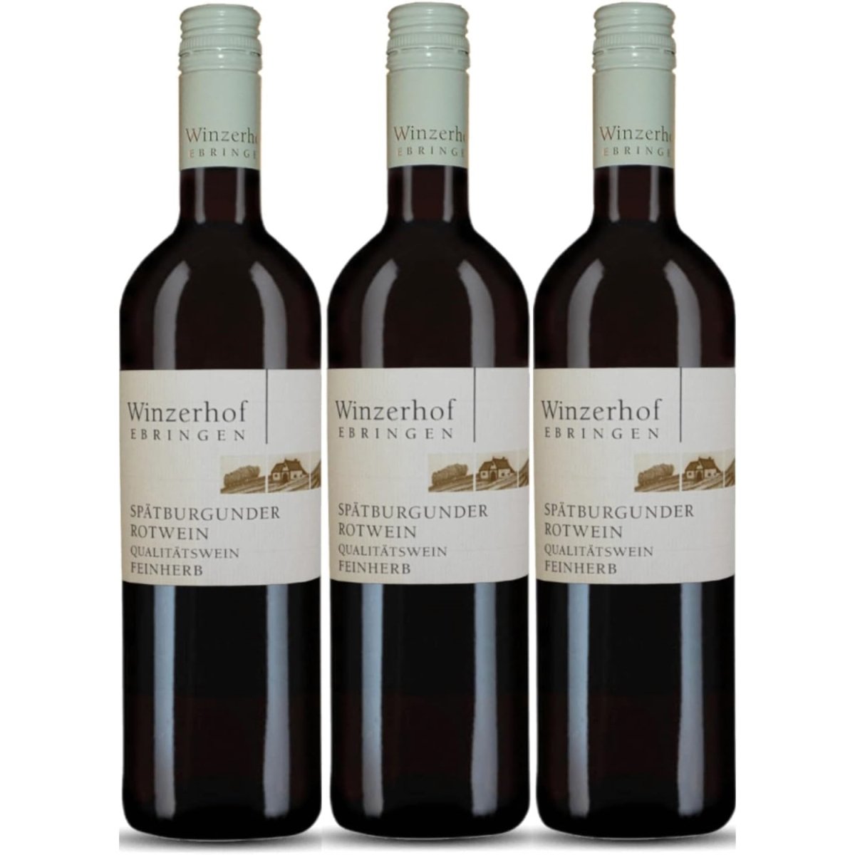 Winzerhof Ebringen Spätburgunder Rotwein feinherb Rotwein Wein Deutschland (3 x 0,75 l) - Versanel -