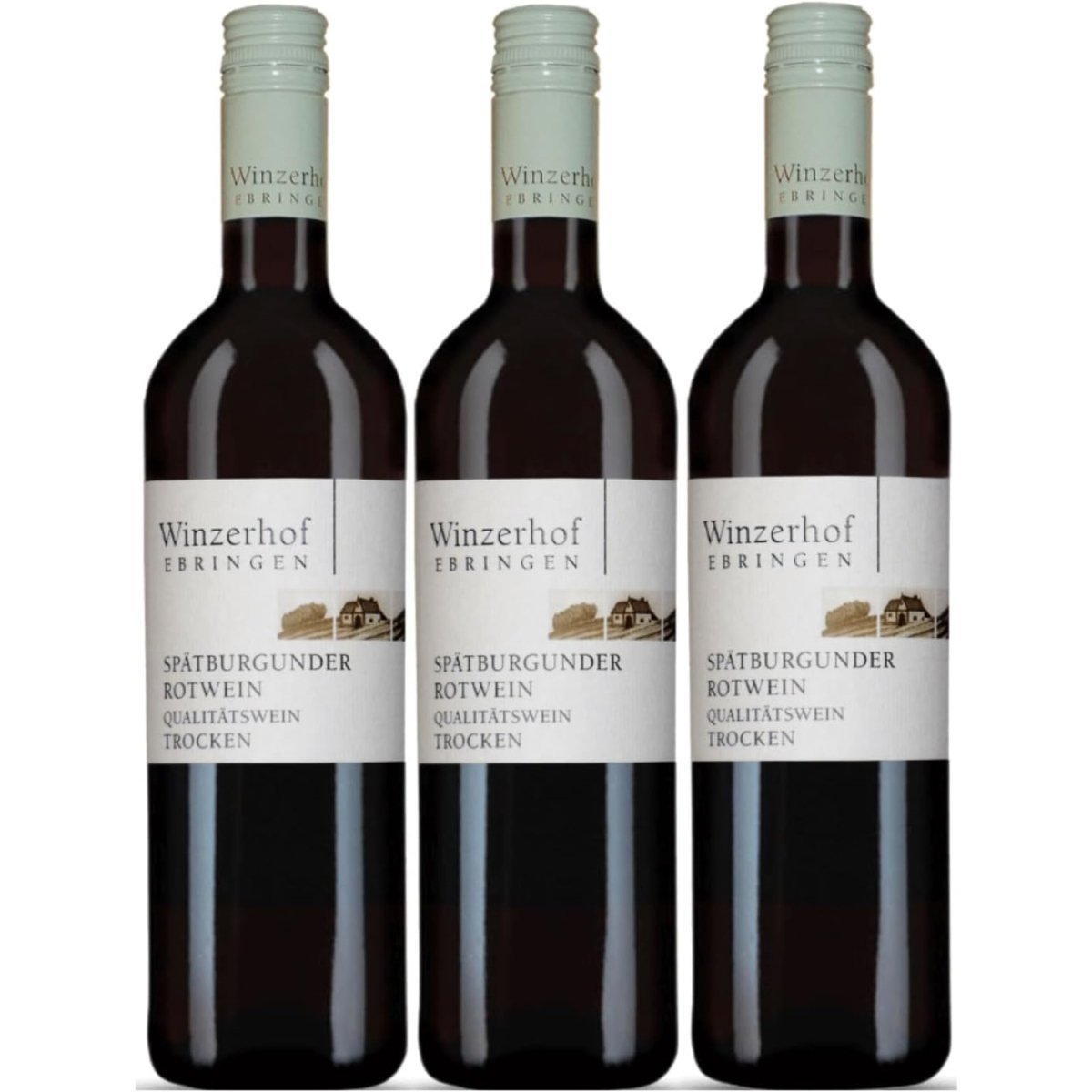 Winzerhof Ebringen Spätburgunder Rotwein trocken Rotwein Wein Deutschland (3 x 0,75 l) - Versanel -