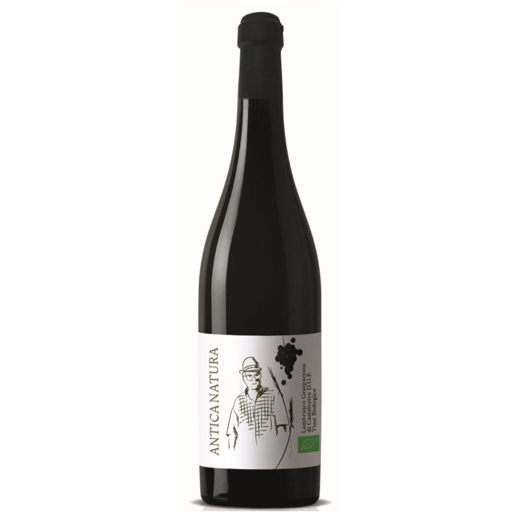 Zanasi Antica Natura Lambrusco DOP Rotwein Wein trocken Italien (1 x 0.75l) - Versanel -